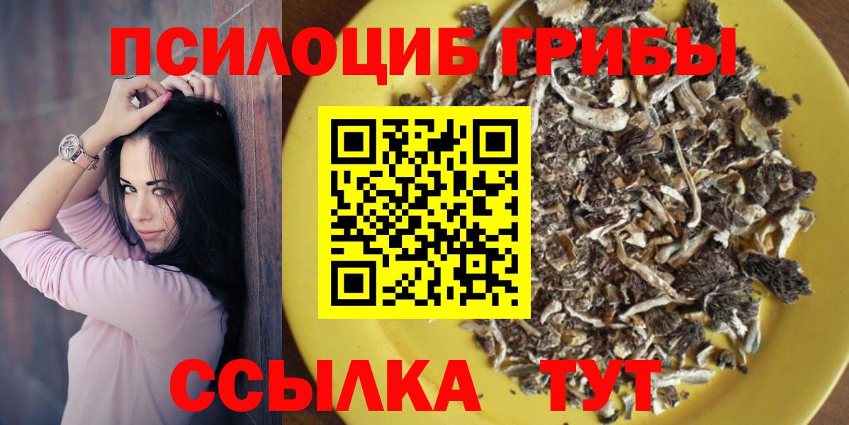 Галлюциногенные грибы прущие грибы  как найти   Железногорск  Галлюциногенные грибы Psilocybe  Вход с VPN 